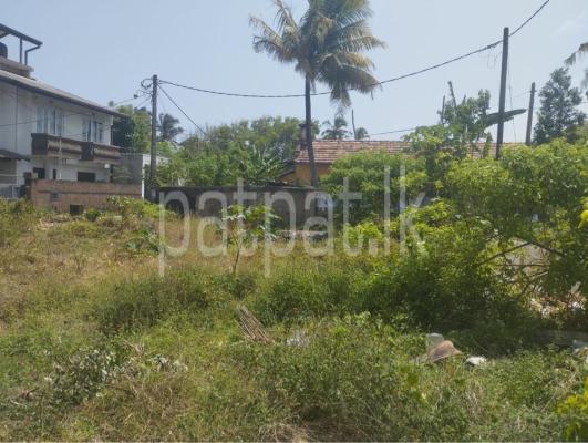 premium-listing-image