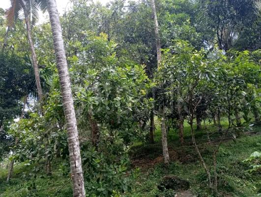 Commercial Land for Sale in Kurunegala