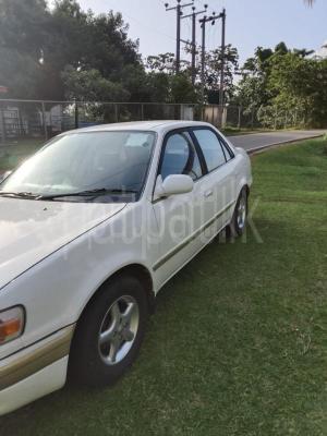 premium-listing-image