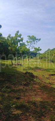 Residential Land for Sale in Kataragama