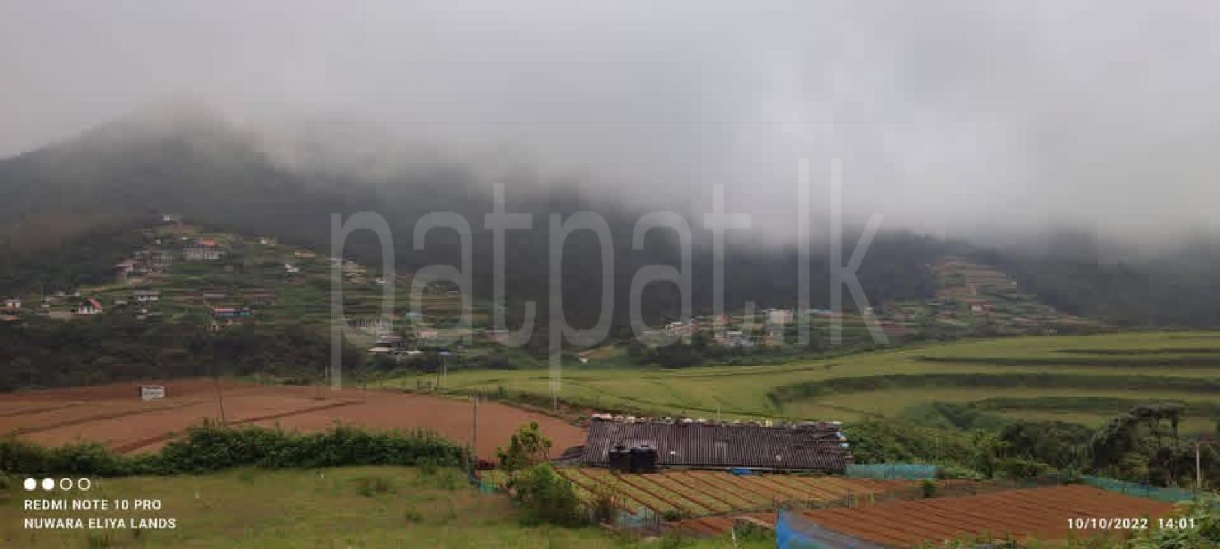 Agricultural Land for Sale in Nuwara Eliya