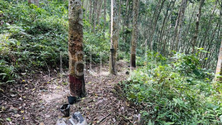 premium-listing-image