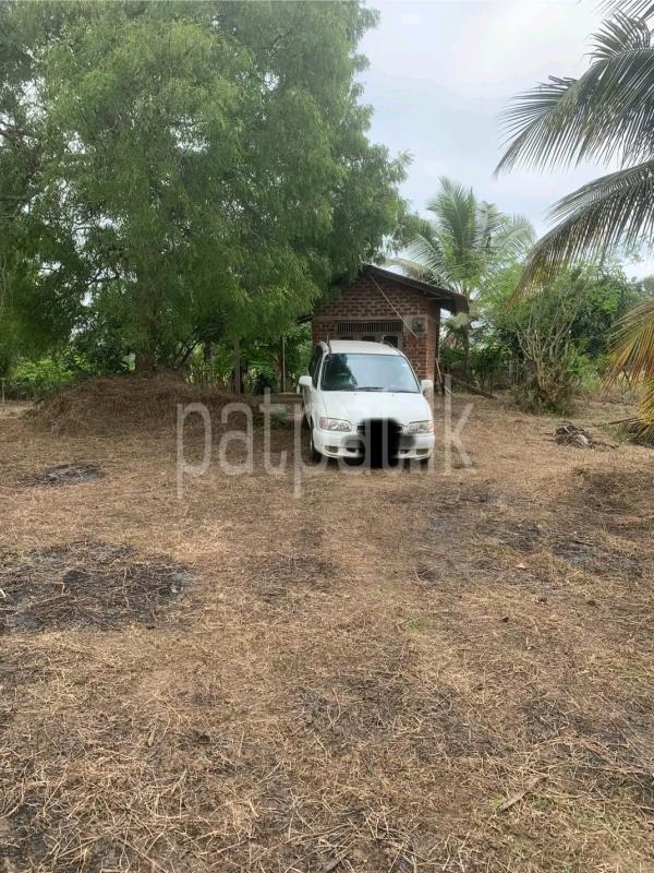 Agricultural Land for Sale in Gampola