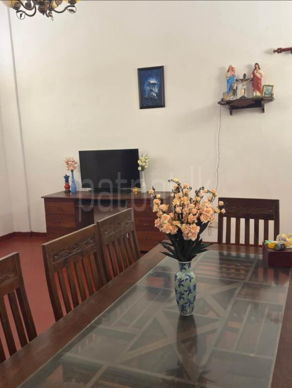 House for Rent in Wellawatta (Colombo 06)