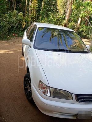 premium-listing-image