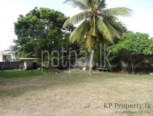 premium-listing-image