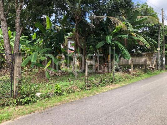 premium-listing-image