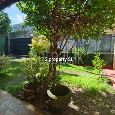 premium-listing-image