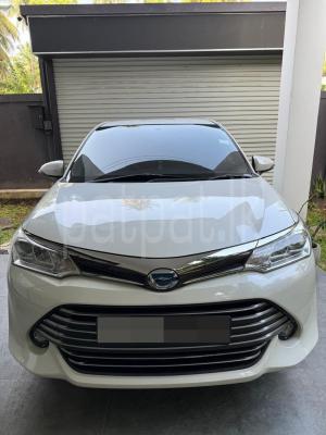 premium-listing-image