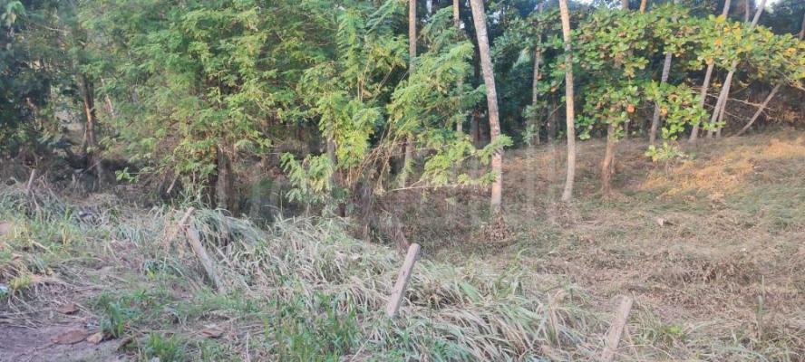 Residential Land for Sale in Dehiowita