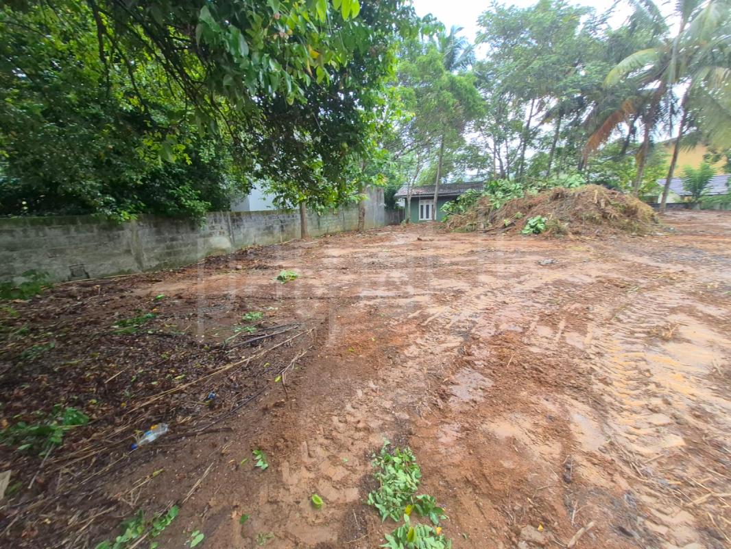 Residential Land for Sale in Matale