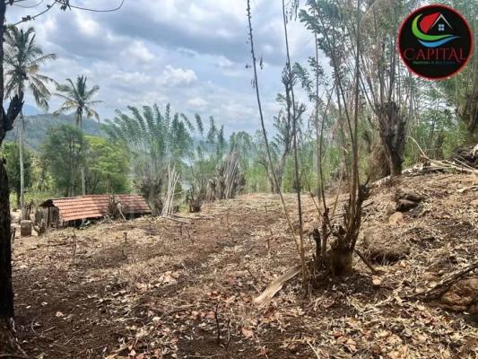 Commercial Land for Sale in Kandy