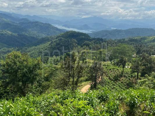 Agricultural Land for Sale in Panvila
