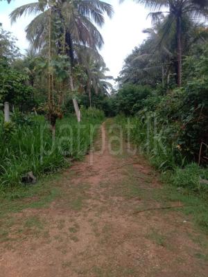 premium-listing-image