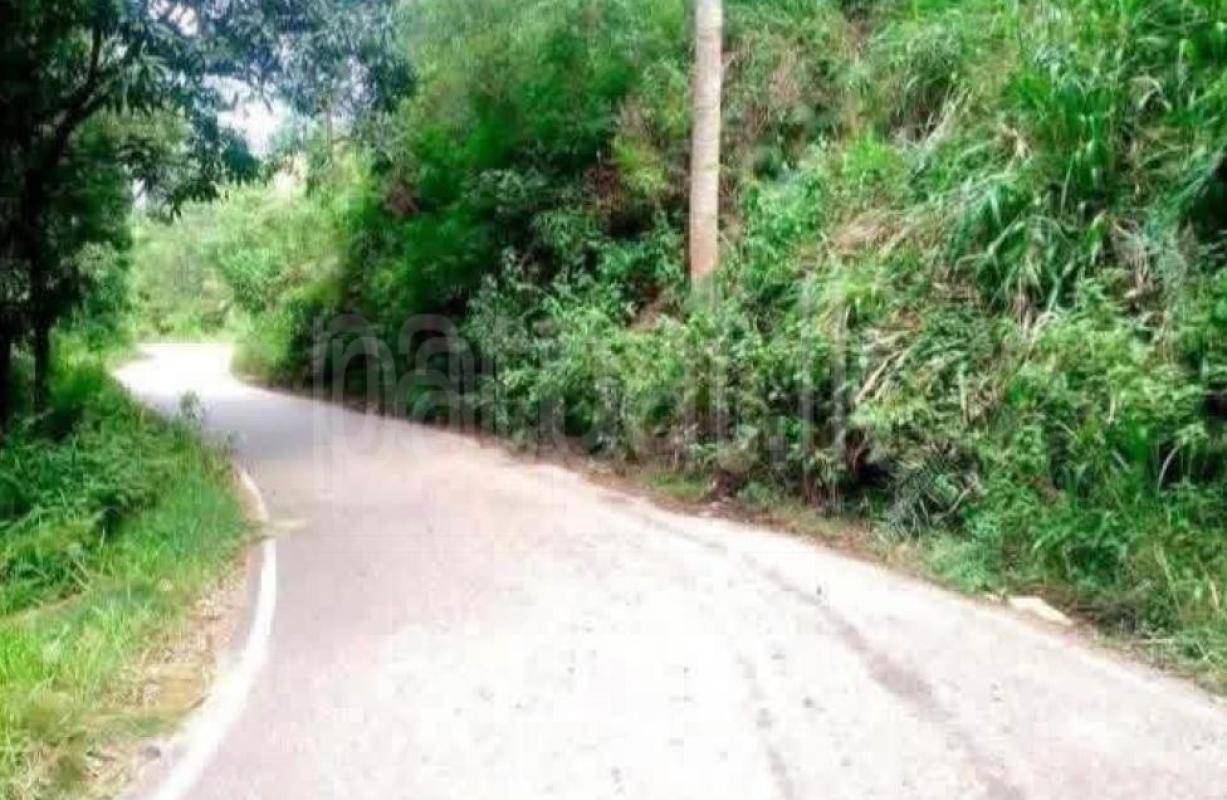 Agricultural Land for Sale in Kandy