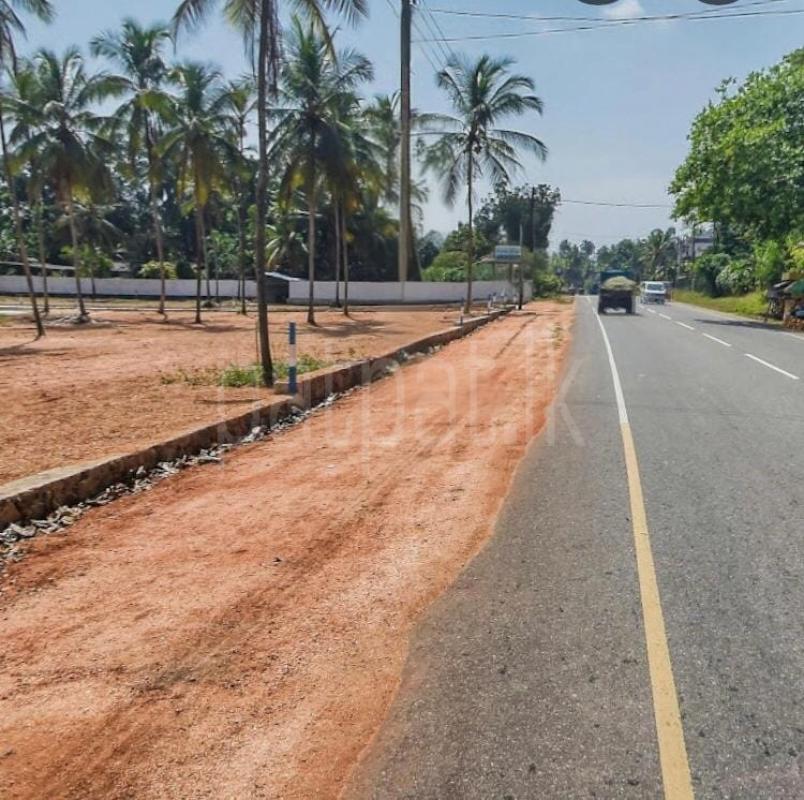 Residential Land for Sale in Wellawa