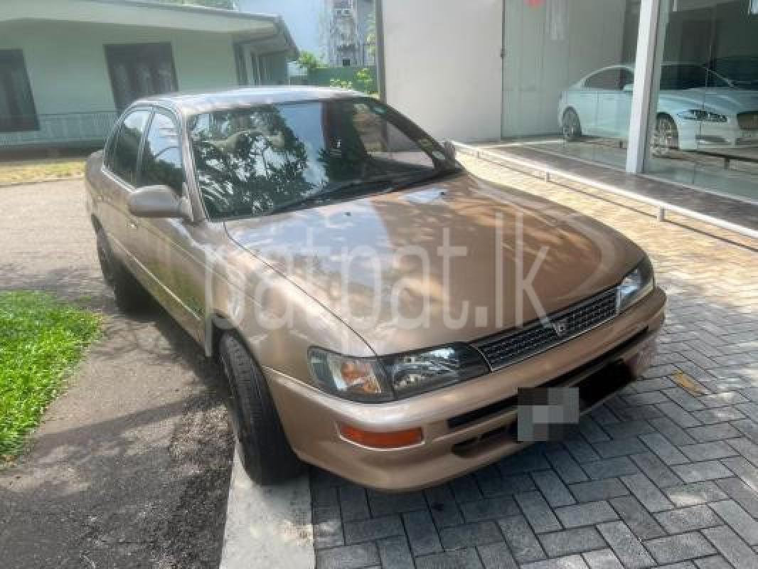 Toyota Corolla 2012 - භාවිතා කරන ලද කාර් sale in Sri Lanka - patpat.lk