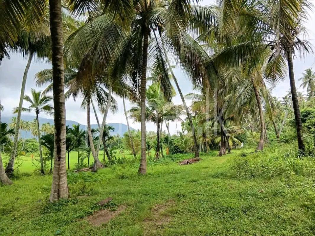 Agricultural Land for Sale in Maho