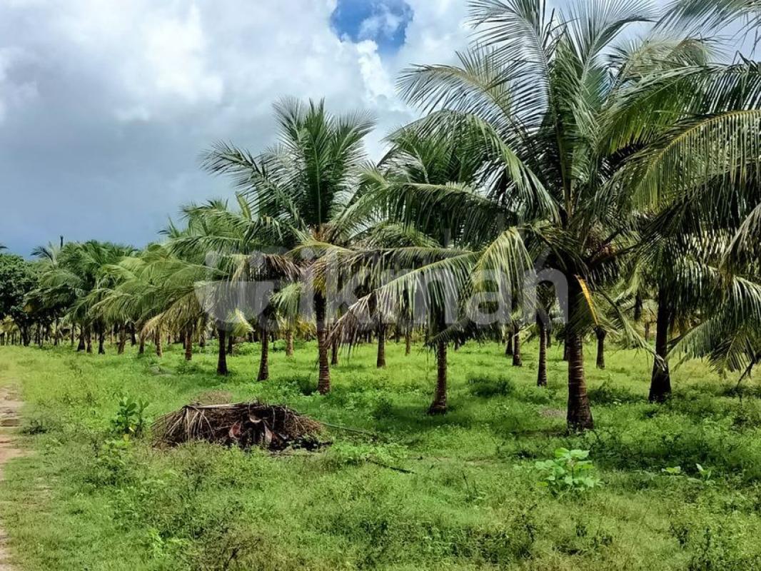 Residential Land for Sale in Chilaw