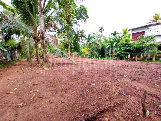 premium-listing-image