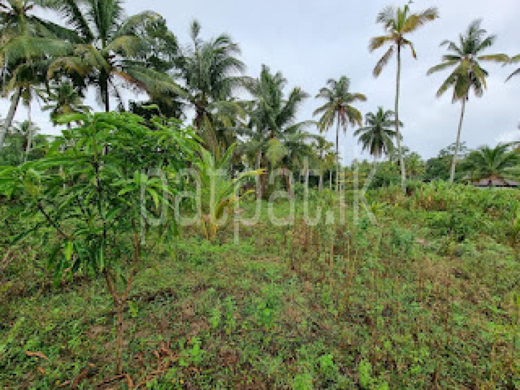 Residential Land for Sale in Divulapitiya