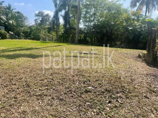 premium-listing-image