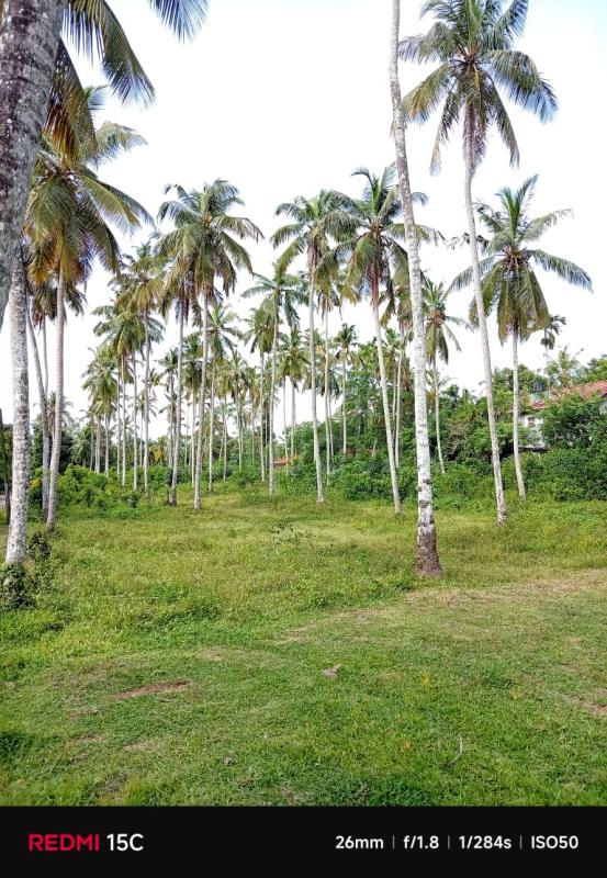 Residential Land for Sale in Yakkala