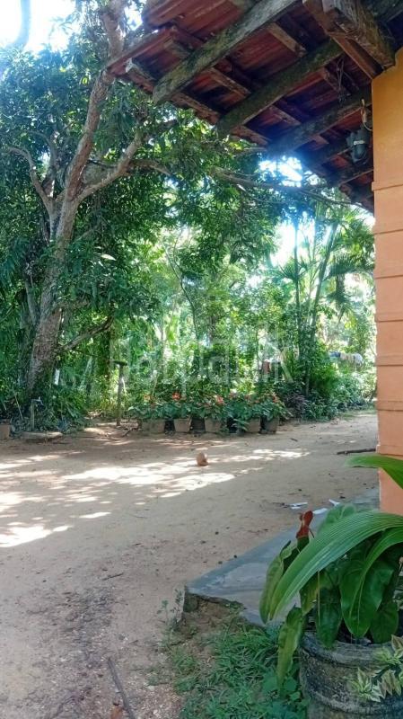 Residential Land for Sale in Walasmulla