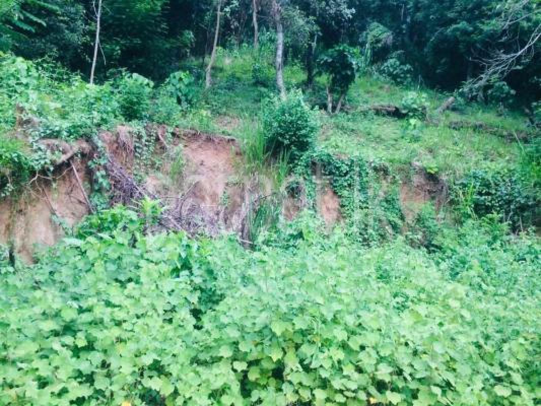 Agricultural Land for Sale in Tennekumbura