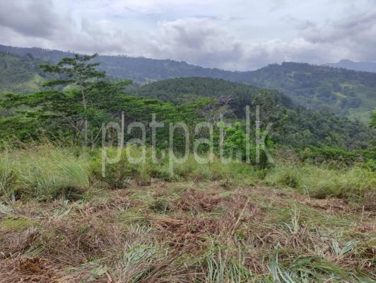 premium-listing-image