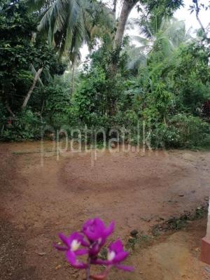 premium-listing-image