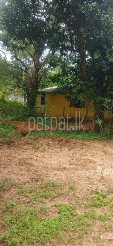 Residential Land for Sale in Kataragama