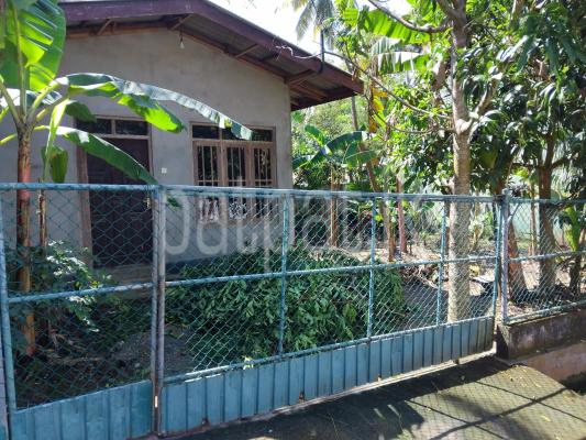 premium-listing-image