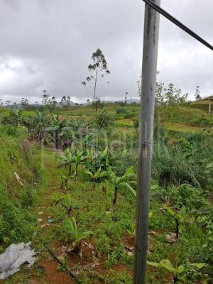 Building for Sale in Kandy