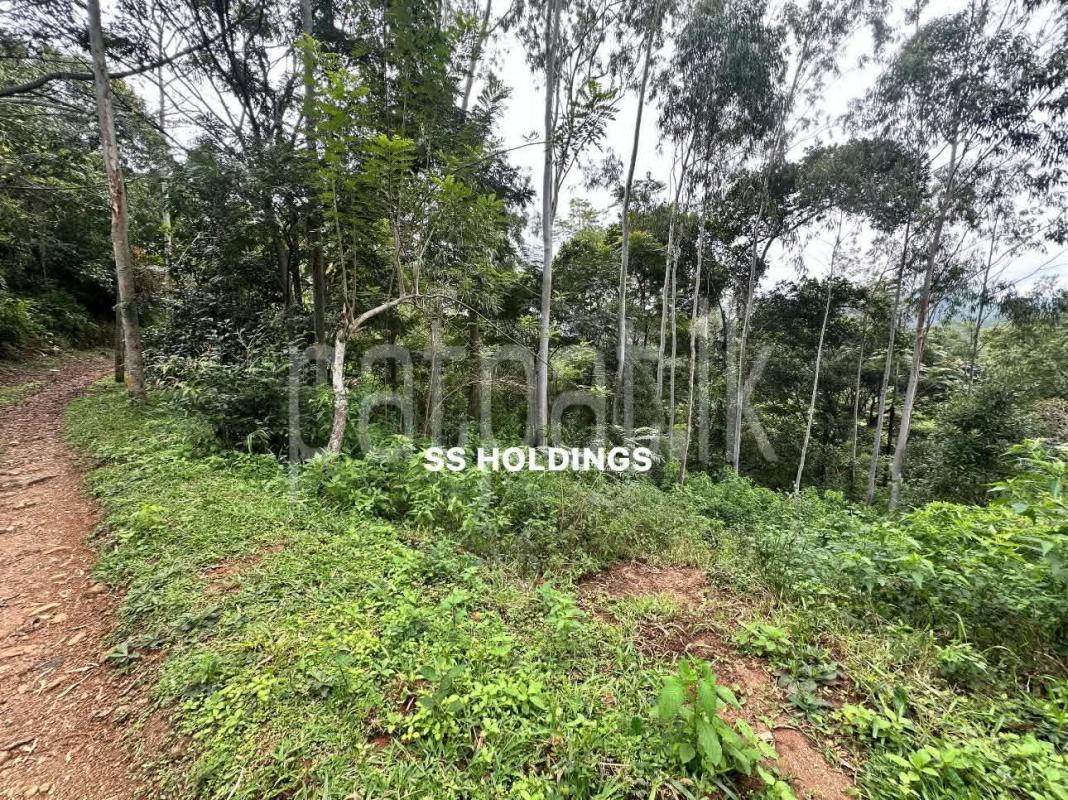 Commercial Land for Sale in Nuwara Eliya