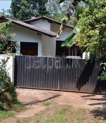 premium-listing-image