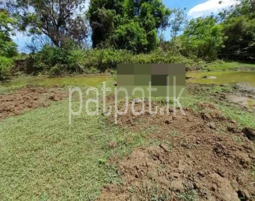 premium-listing-image