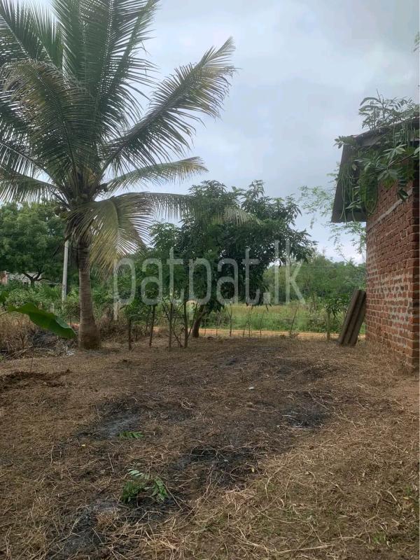 Agricultural Land for Sale in Gampola