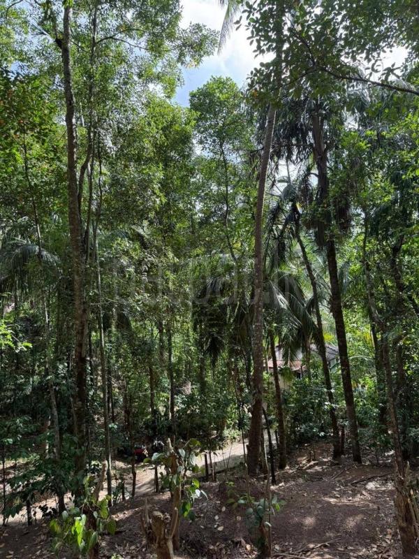 Residential Land for Sale in Ampitiya