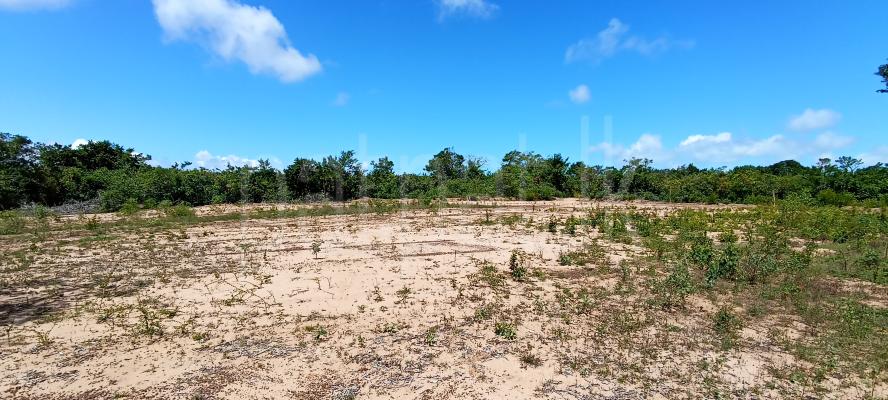 Agricultural Land for Sale in Puttalam