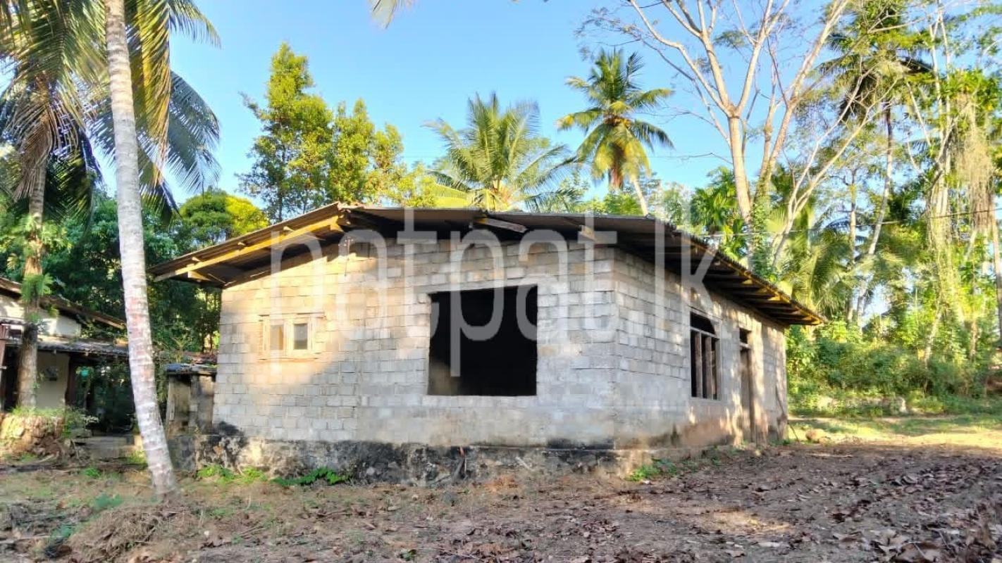Agricultural Land for Sale in Dodangoda