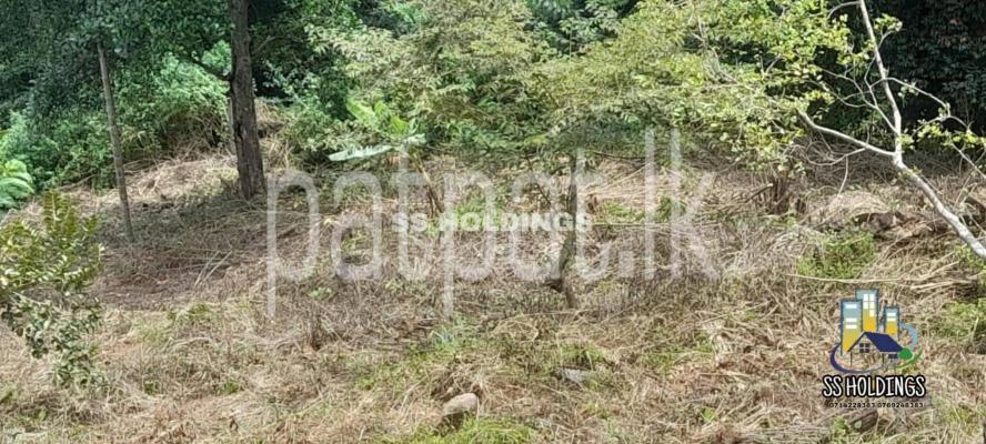 Commercial Land for Sale in Nuwara Eliya
