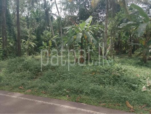 Agricultural Land for Sale in Gampaha