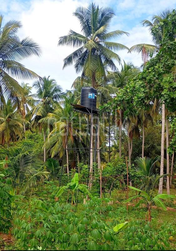 Agricultural Land for Sale in Puttalam