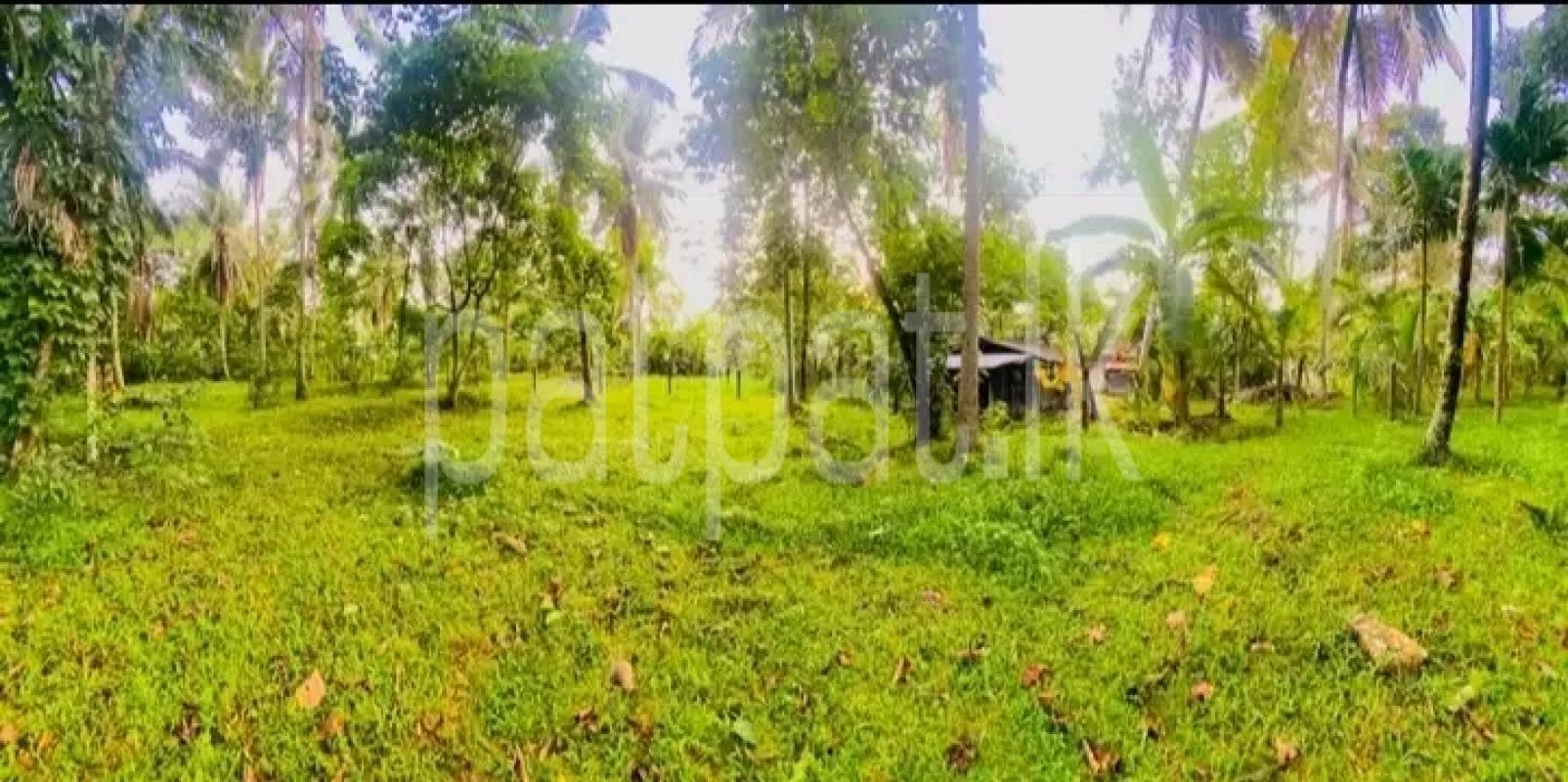 Residential Land for Sale in Gampola