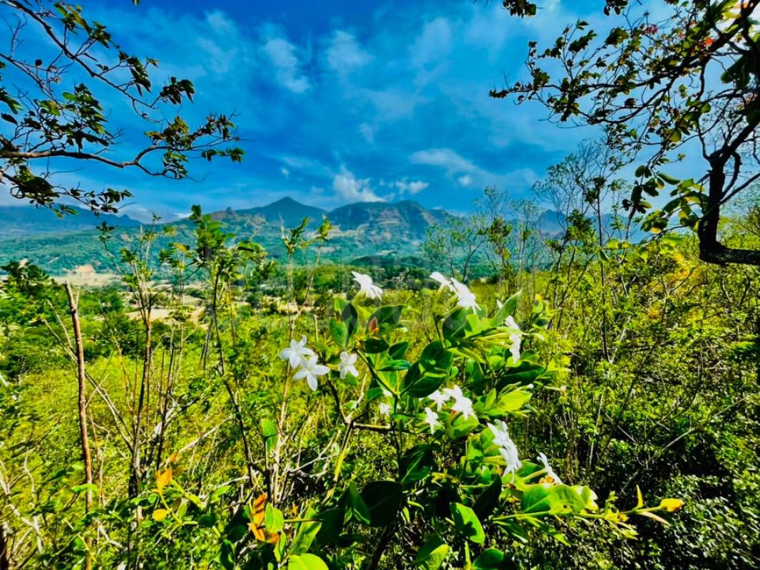 Commercial Land for Sale in Kandy