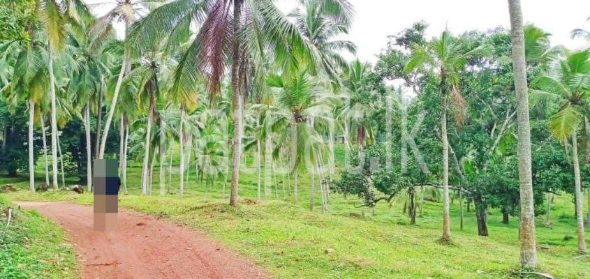 Agricultural Land for Sale in Mirigama