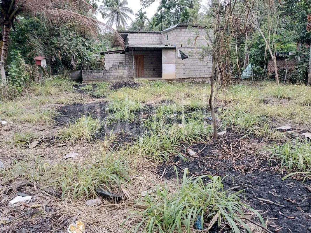 Agricultural Land for Sale in Gampola