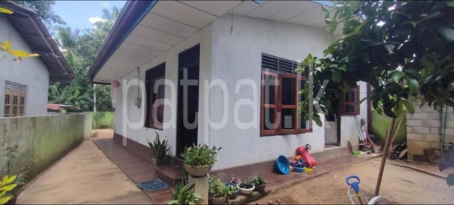 premium-listing-image