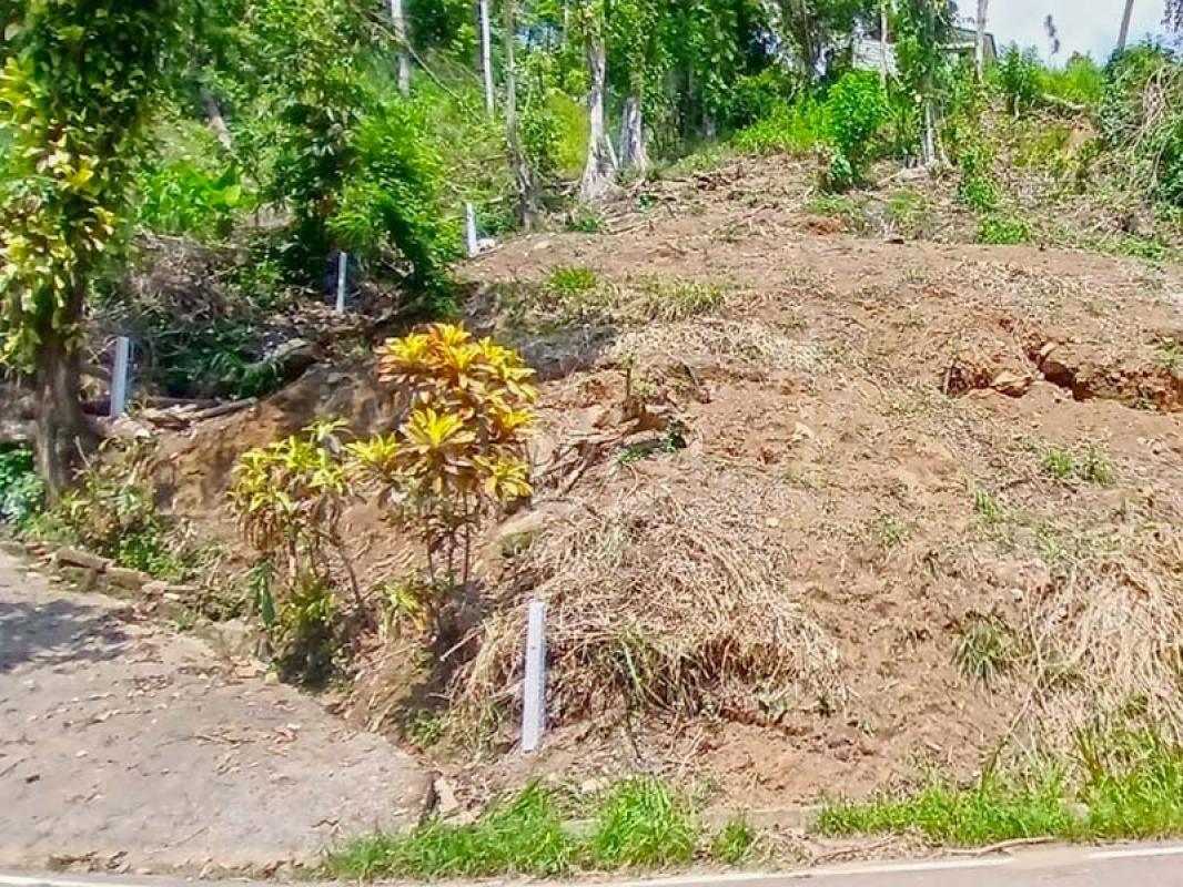 Commercial Land for Sale in Pilimatalawa
